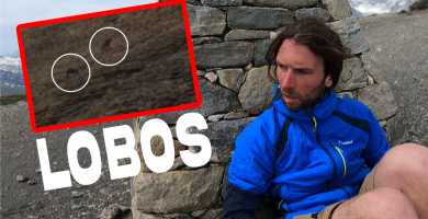 Eli del Pirineu en el Tour del Montblanc